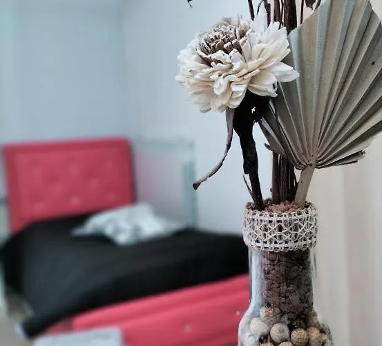 Mini Liquirizia E Menta Διαμέρισμα *